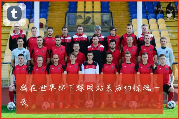 我在世界杯下球网站亲历的惊魂一夜