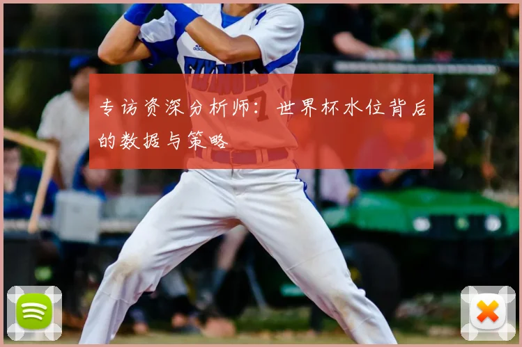 专访资深分析师：世界杯水位背后的数据与策略