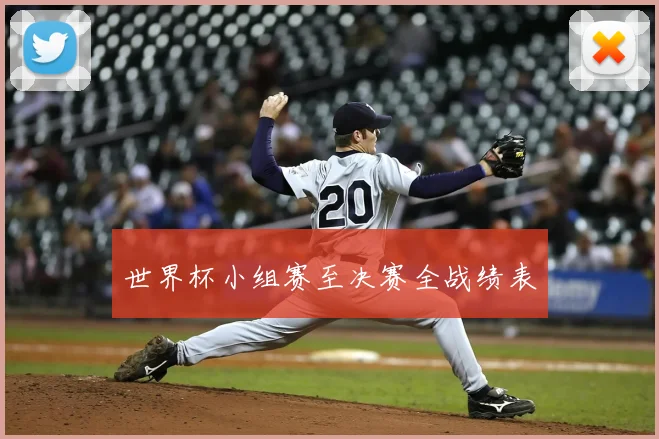 世界杯小组赛至决赛全战绩表