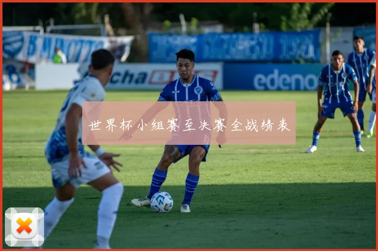 世界杯小组赛至决赛全战绩表