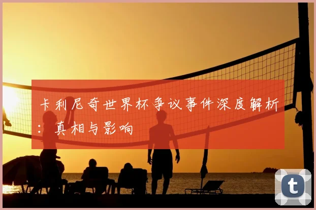 卡利尼奇世界杯争议事件深度解析：真相与影响