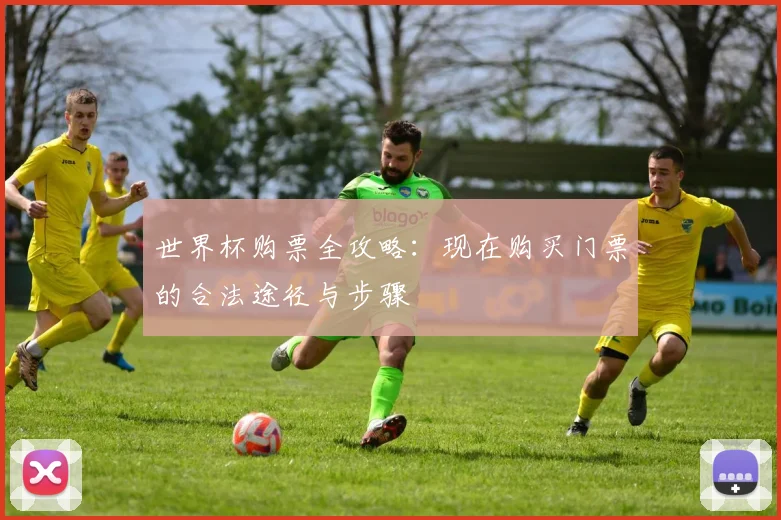 世界杯购票全攻略:现在购买门票的合法途径与步骤