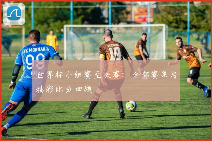 世界杯小组赛至决赛：全部赛果与精彩比分回顾